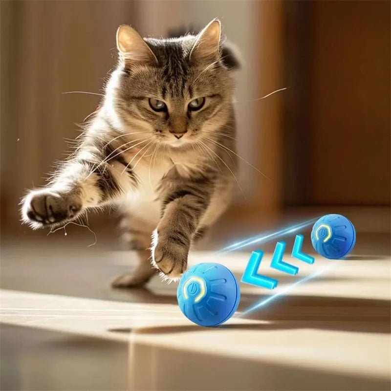 Balle de jouet intelligente pour chien, jouet électronique interactif pour animaux de compagnie, boule mobile USB, rebondissant automatique pour chiot, cadeau d'anniversaire, produits pour chats - Élite Canine Shop ChicCanin