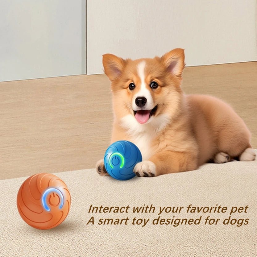Balle de jouet intelligente pour chien, jouet électronique interactif pour animaux de compagnie, boule mobile USB, rebondissant automatique pour chiot, cadeau d'anniversaire, produits pour chats - Élite Canine Shop ChicCanin