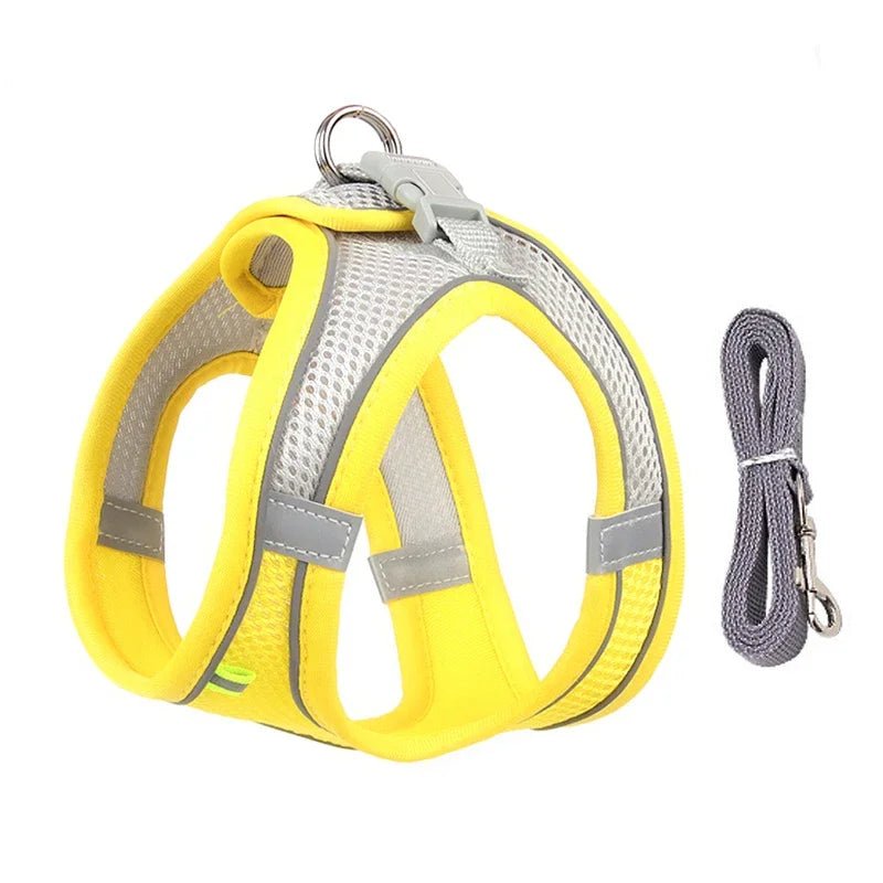 Ensemble gilet et laisse en maille d'été pour petits chiens, harnais réglable pour chiot et chat - Élite Canine Shop Élite Canine Shop