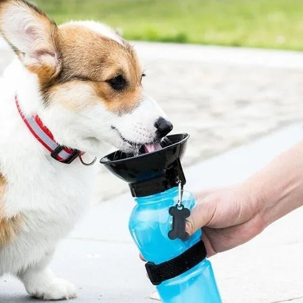 500ml extérieur Portable chien bouteille d'eau Extrusion grand chien voyage tasse d'eau potable mangeoire d'eau bol pour chien chat - Élite Canine Shop ChicCanin
