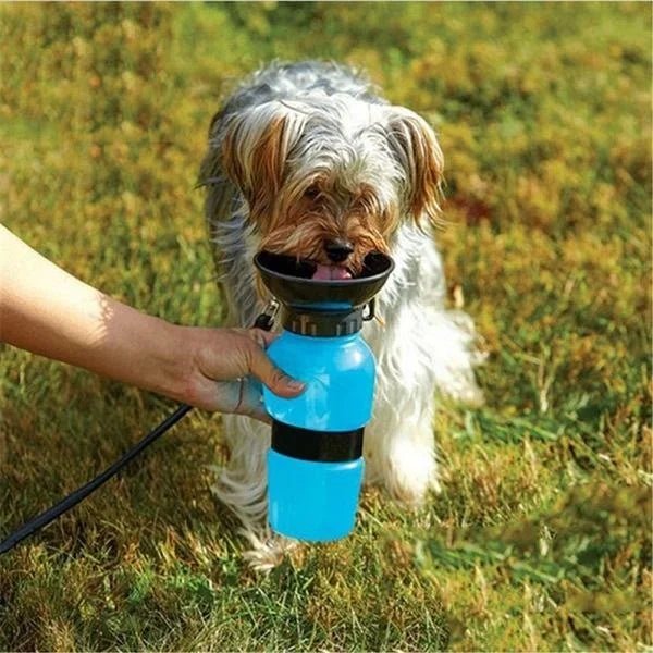 500ml extérieur Portable chien bouteille d'eau Extrusion grand chien voyage tasse d'eau potable mangeoire d'eau bol pour chien chat - Élite Canine Shop ChicCanin