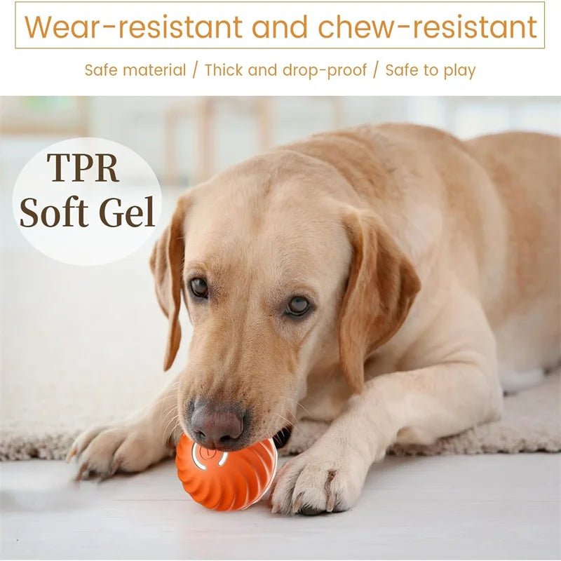 Balle de jouet intelligente pour chien, jouet électronique interactif pour animaux de compagnie, boule mobile USB, rebondissant automatique pour chiot, cadeau d'anniversaire, produits pour chats - Élite Canine Shop ChicCanin