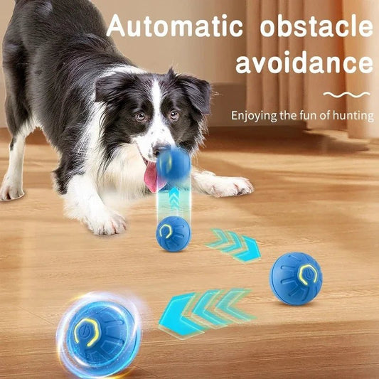 Balle de jouet intelligente pour chien, jouet électronique interactif pour animaux de compagnie, boule mobile USB, rebondissant automatique pour chiot, cadeau d'anniversaire, produits pour chats - Élite Canine Shop ChicCanin