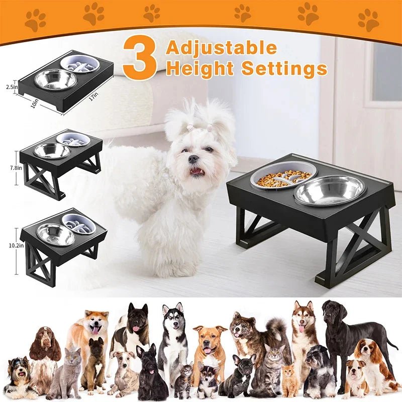 Bol pour chien, polymères de repas, bol surélevé - Élite Canine Shop Élite Canine Shop