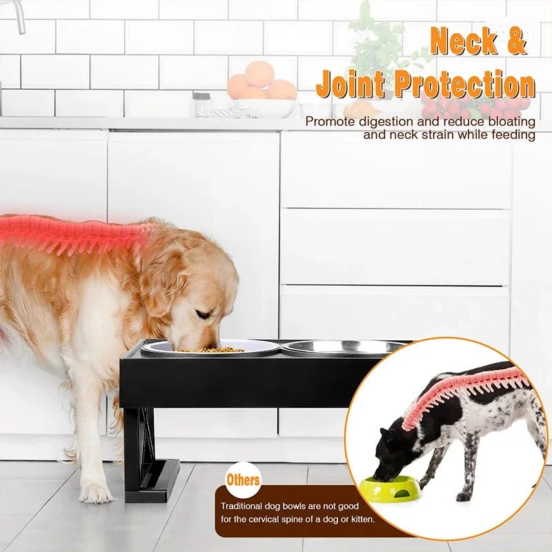 Bol pour chien, polymères de repas, bol surélevé - Élite Canine Shop Élite Canine Shop