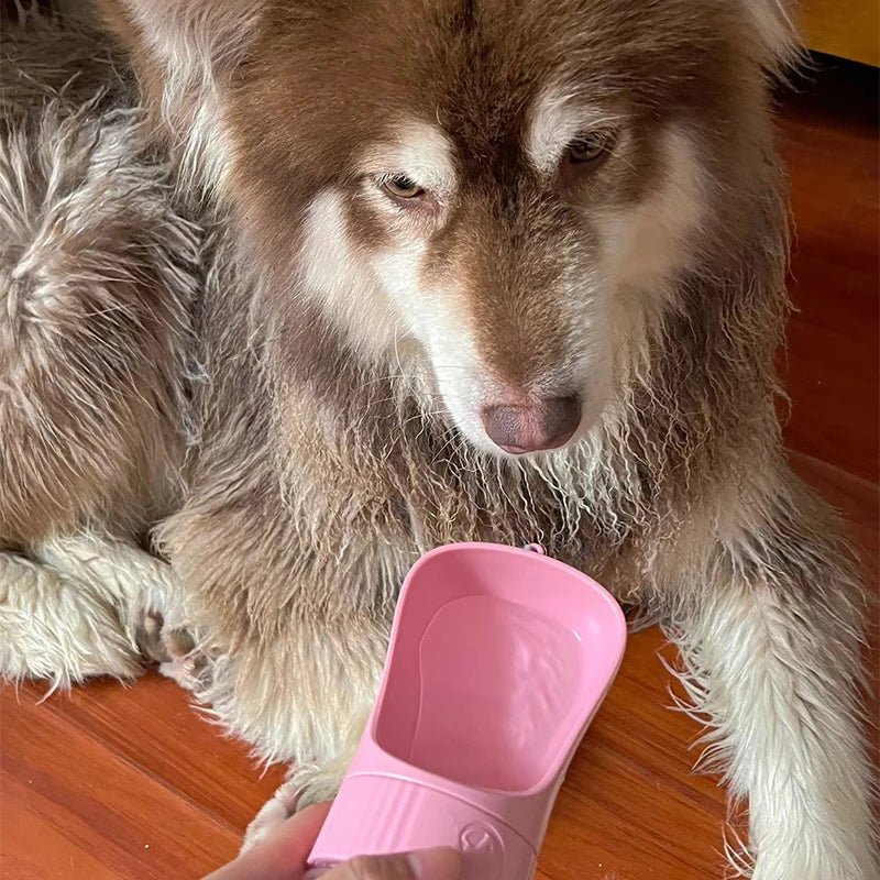 Bouteille d'eau Portable 2 en 1 pour chien, avec récipient alimentaire, distributeur d'eau pour animaux de compagnie, pour petits et grands chiens, bols à boire pour chat et Labrodor - Élite Canine Shop Luxierra