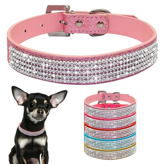 Collier avec strass pour chien - Élite Canine Shop Élite Canine Shop