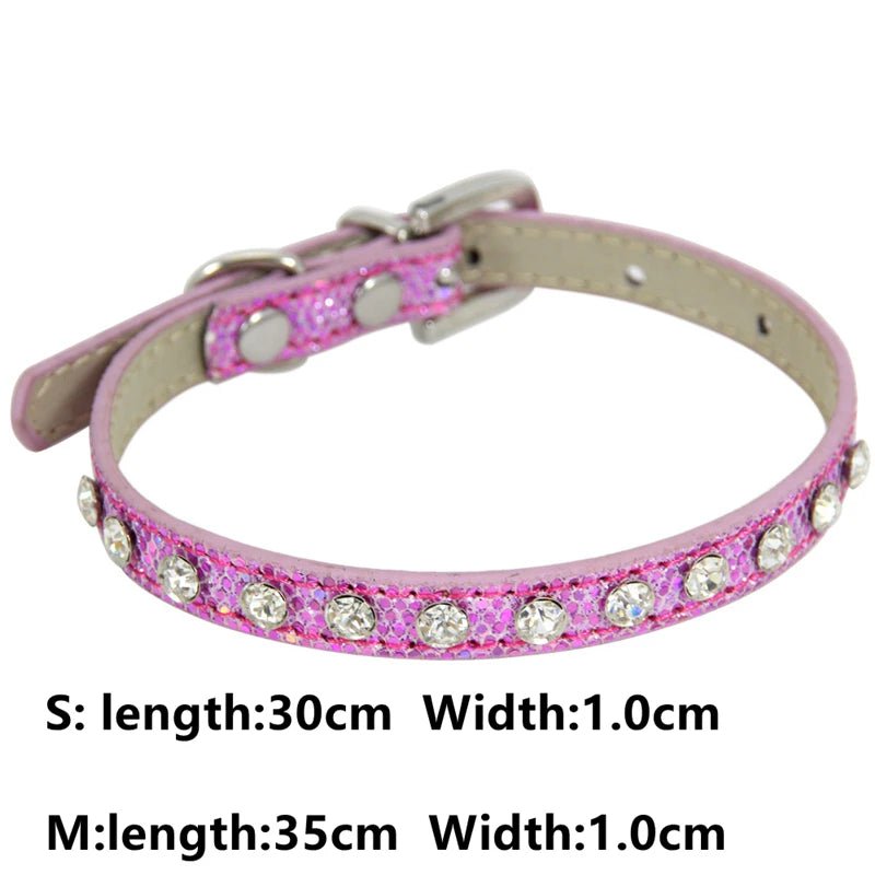 Collier avec strass pour chien - Élite Canine Shop Élite Canine Shop