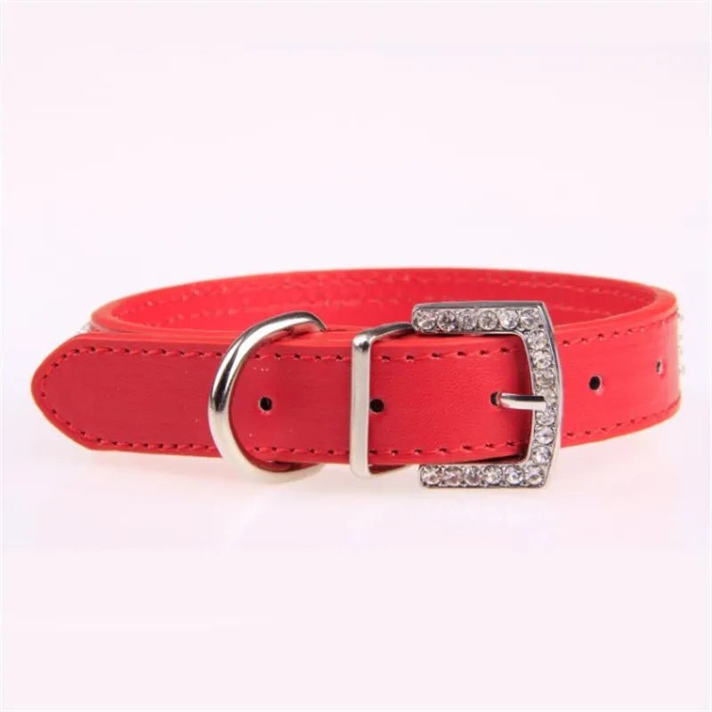 Collier avec strass pour chien - Élite Canine Shop Élite Canine Shop