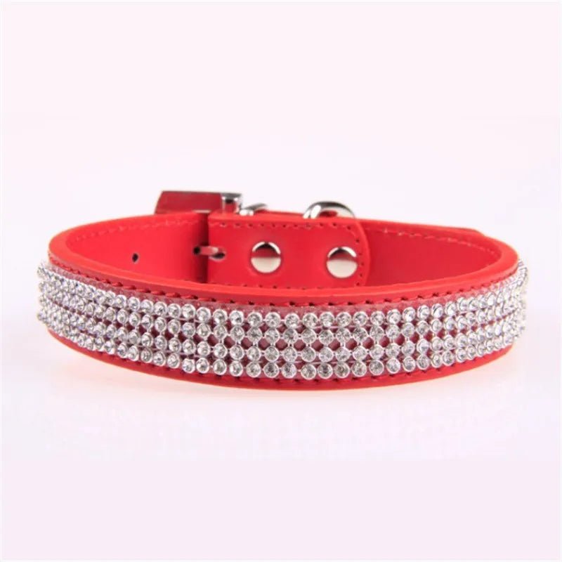 Collier avec strass pour chien - Élite Canine Shop Élite Canine Shop