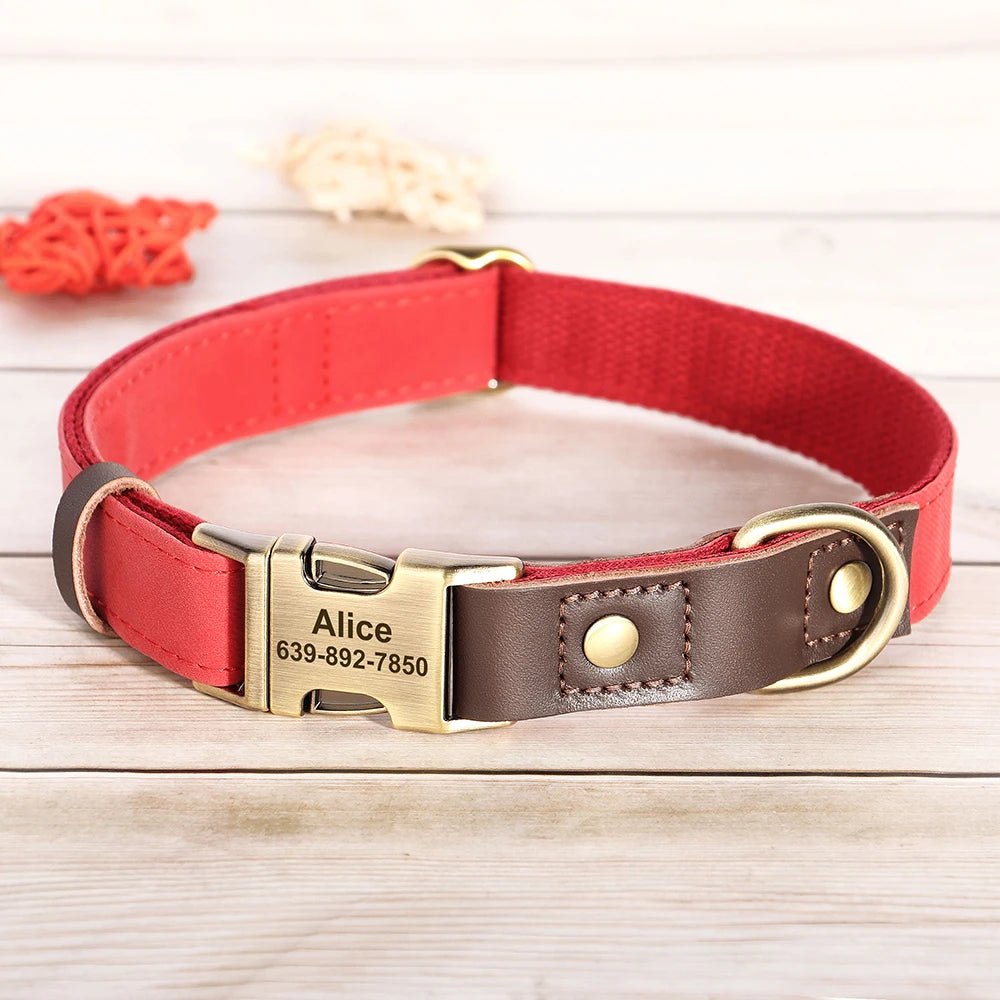 Collier de chien personnalisable - Élite Canine Shop Élite Canine Shop