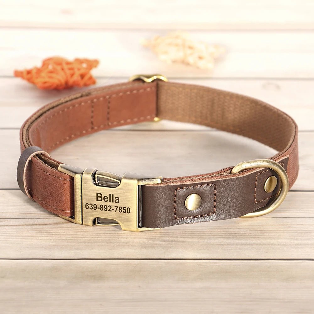 Collier de chien personnalisable - Élite Canine Shop Élite Canine Shop