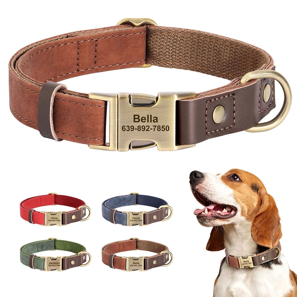 Collier de chien personnalisable - Élite Canine Shop Élite Canine Shop