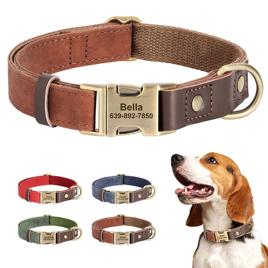 Collier de chien personnalisable - Élite Canine Shop Élite Canine Shop
