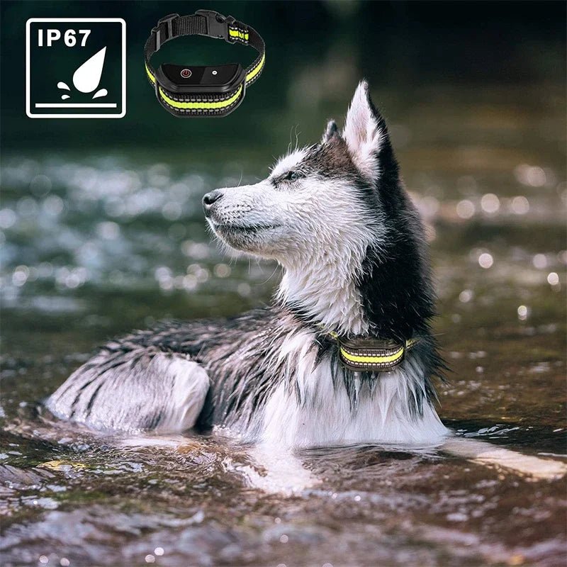 Collier électrique LDC chien de dressage - Élite Canine Shop Élite Canine Shop