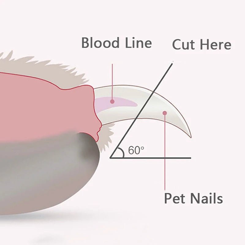 Coupe - ongles pour animaux - Élite Canine Shop Élite Canine Shop