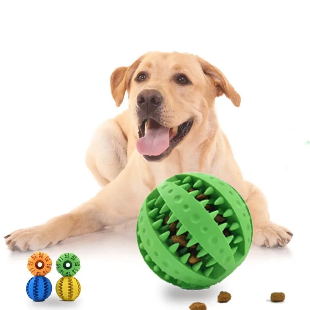 Dog Ball Toys for Small Dogs Interactive Elasticity Puppy Chew Toy Tooth Cleaning Rubber Food Ball Toy Pet Stuff Accessories - Élite Canine Shop ChicCanin