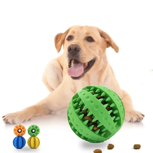 Dog Ball Toys for Small Dogs Interactive Elasticity Puppy Chew Toy Tooth Cleaning Rubber Food Ball Toy Pet Stuff Accessories - Élite Canine Shop ChicCanin