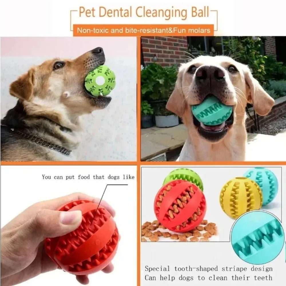 Dog Ball Toys for Small Dogs Interactive Elasticity Puppy Chew Toy Tooth Cleaning Rubber Food Ball Toy Pet Stuff Accessories - Élite Canine Shop ChicCanin