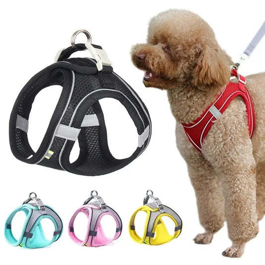 Ensemble gilet et laisse en maille d'été pour petits chiens, harnais réglable pour chiot et chat - Élite Canine Shop Élite Canine Shop