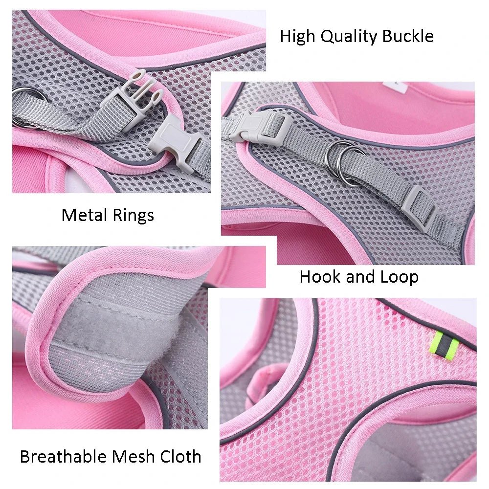Ensemble gilet et laisse en maille d'été pour petits chiens, harnais réglable pour chiot et chat - Élite Canine Shop Élite Canine Shop