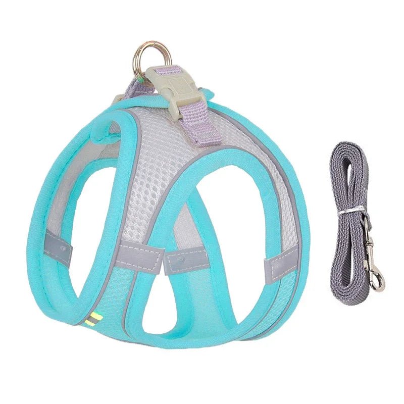 Ensemble gilet et laisse en maille d'été pour petits chiens, harnais réglable pour chiot et chat - Élite Canine Shop Élite Canine Shop