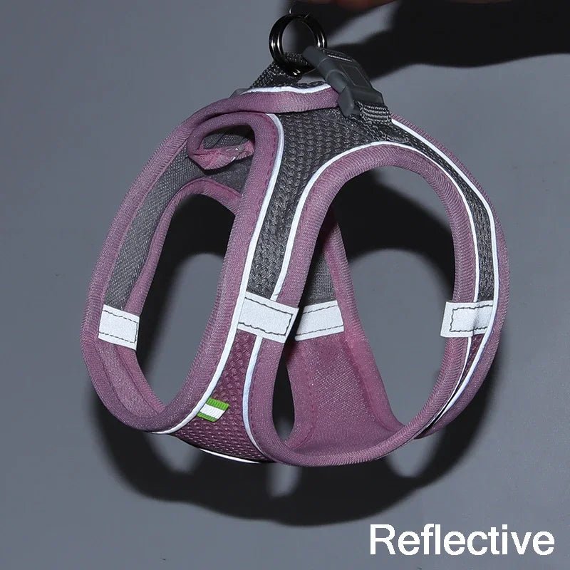 Ensemble gilet et laisse en maille d'été pour petits chiens, harnais réglable pour chiot et chat - Élite Canine Shop Élite Canine Shop