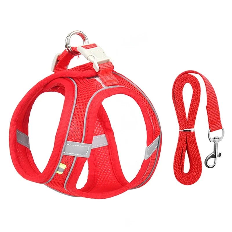 Ensemble gilet et laisse en maille d'été pour petits chiens, harnais réglable pour chiot et chat - Élite Canine Shop Élite Canine Shop