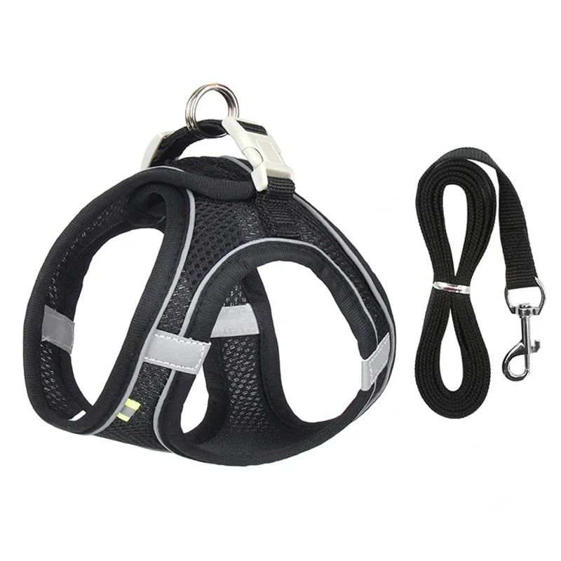 Ensemble gilet et laisse en maille d'été pour petits chiens, harnais réglable pour chiot et chat - Élite Canine Shop Élite Canine Shop