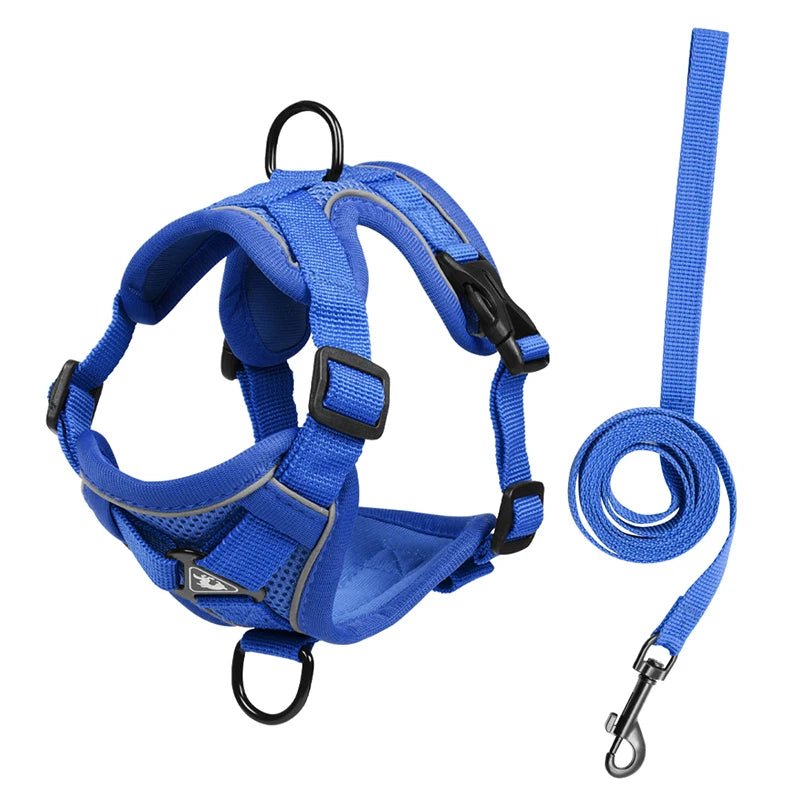 Ensembles de harnais et de laisse réfléchissants pour chiens - Élite Canine Shop Élite Canine Shop