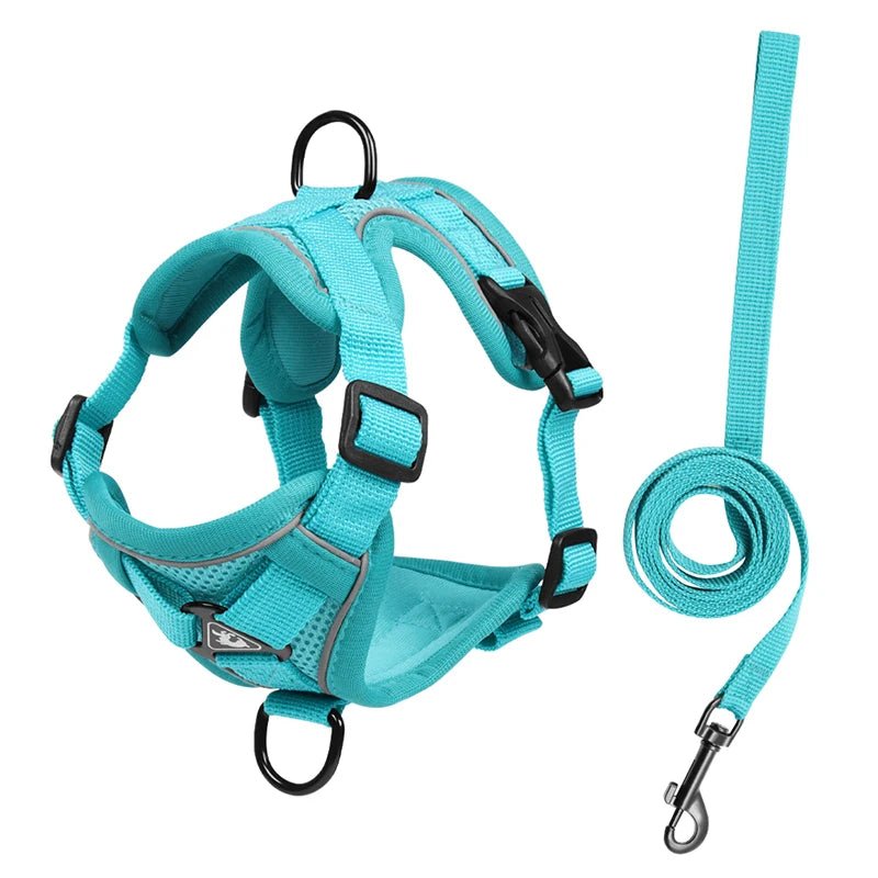 Ensembles de harnais et de laisse réfléchissants pour chiens - Élite Canine Shop Élite Canine Shop