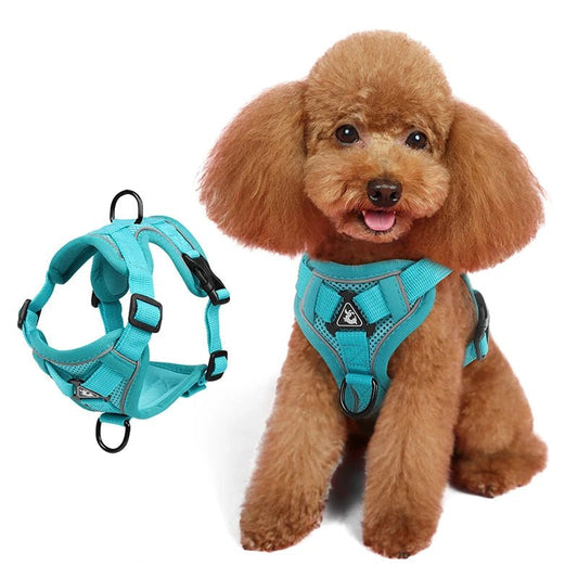 Ensembles de harnais et de laisse réfléchissants pour chiens - Élite Canine Shop Élite Canine Shop