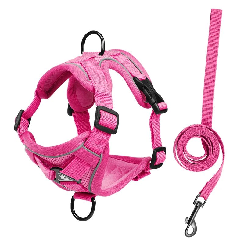Ensembles de harnais et de laisse réfléchissants pour chiens - Élite Canine Shop Élite Canine Shop