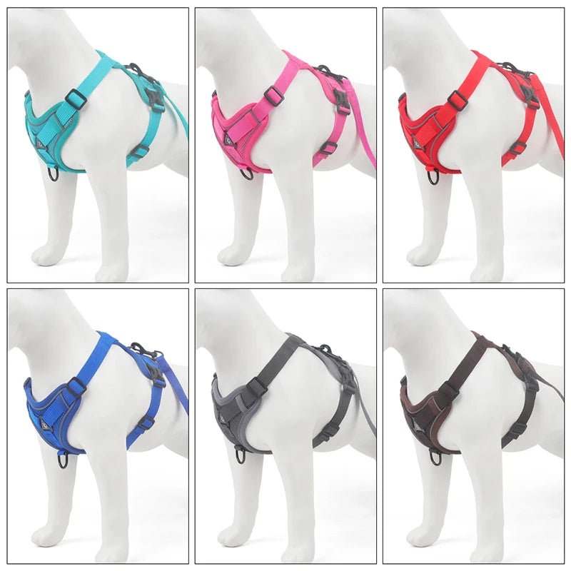Ensembles de harnais et de laisse réfléchissants pour chiens - Élite Canine Shop Élite Canine Shop