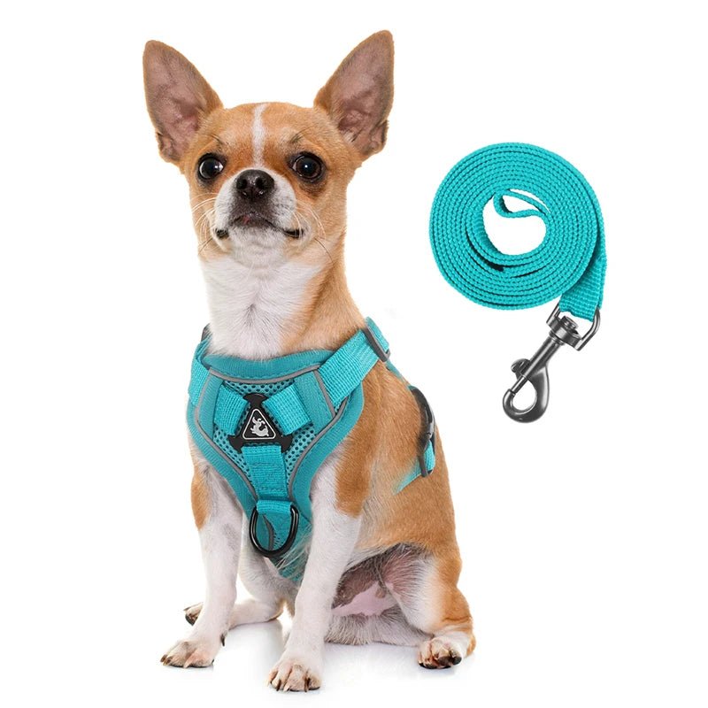 Ensembles de harnais et de laisse réfléchissants pour chiens - Élite Canine Shop Élite Canine Shop