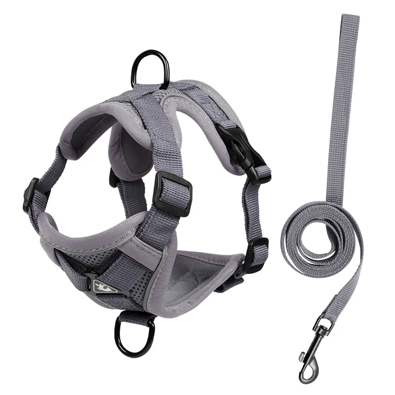 Ensembles de harnais et de laisse réfléchissants pour chiens - Élite Canine Shop Élite Canine Shop