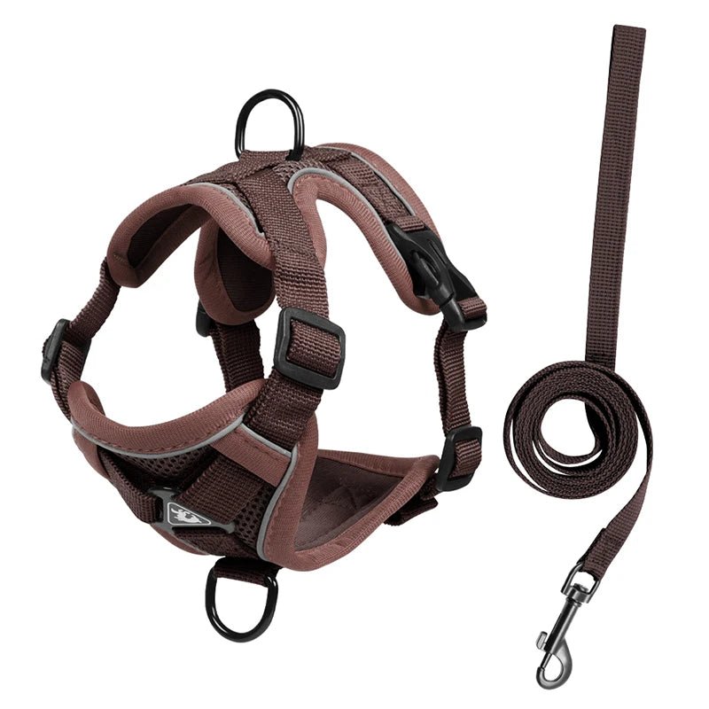 Ensembles de harnais et de laisse réfléchissants pour chiens - Élite Canine Shop Élite Canine Shop