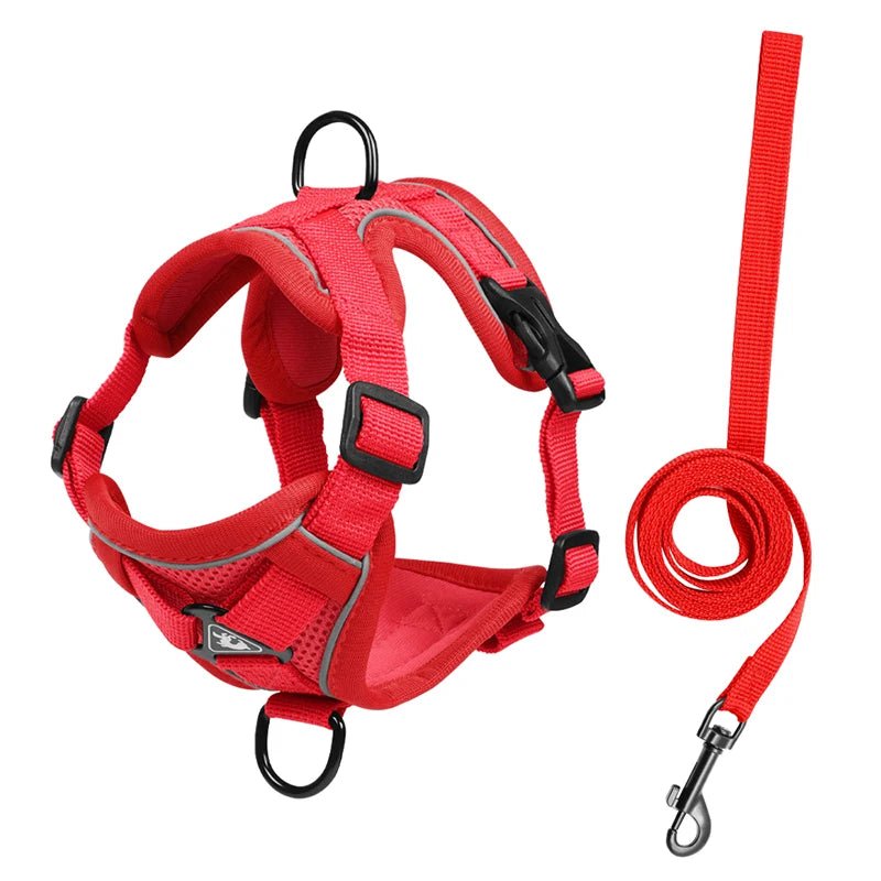 Ensembles de harnais et de laisse réfléchissants pour chiens - Élite Canine Shop Élite Canine Shop