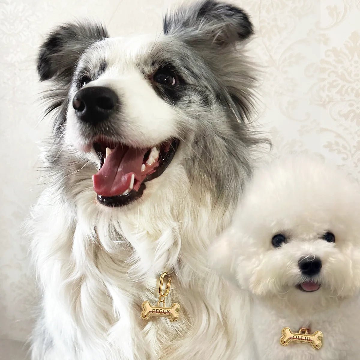 Étiquette de nom de chien personnalisée - Élite Canine Shop Élite Canine Shop