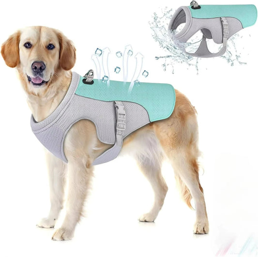 Gilet rafraîchissant pour chien - Élite Canine Shop Élite Canine Shop