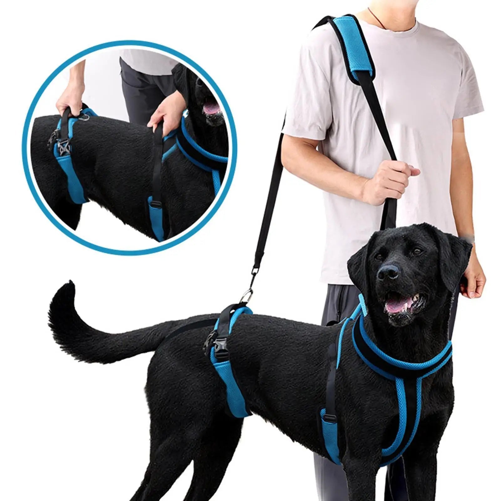 Harnais de levage pour chien - Élite Canine Shop Élite Canine Shop