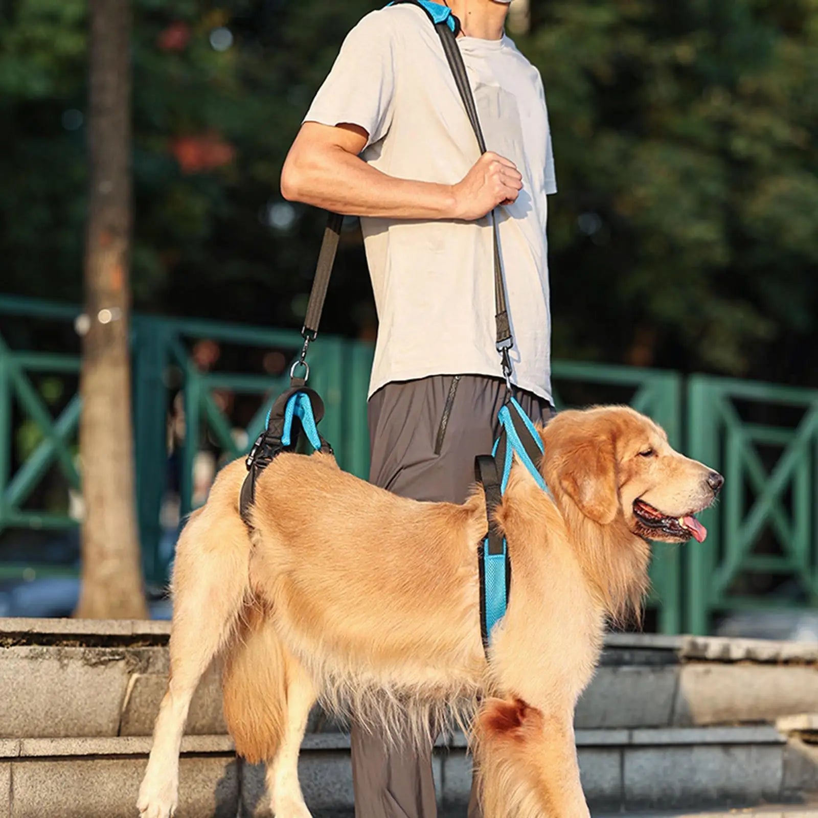 Harnais de levage pour chien - Élite Canine Shop Élite Canine Shop