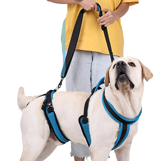 Harnais de levage pour chien - Élite Canine Shop Élite Canine Shop