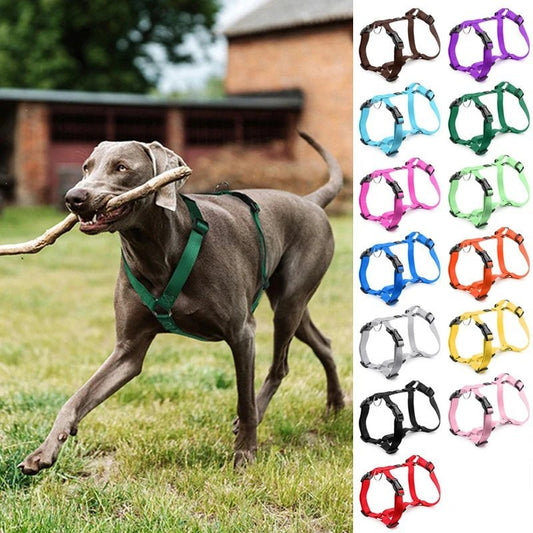 Harnais pour chien en forme de H - Élite Canine Shop Élite Canine Shop