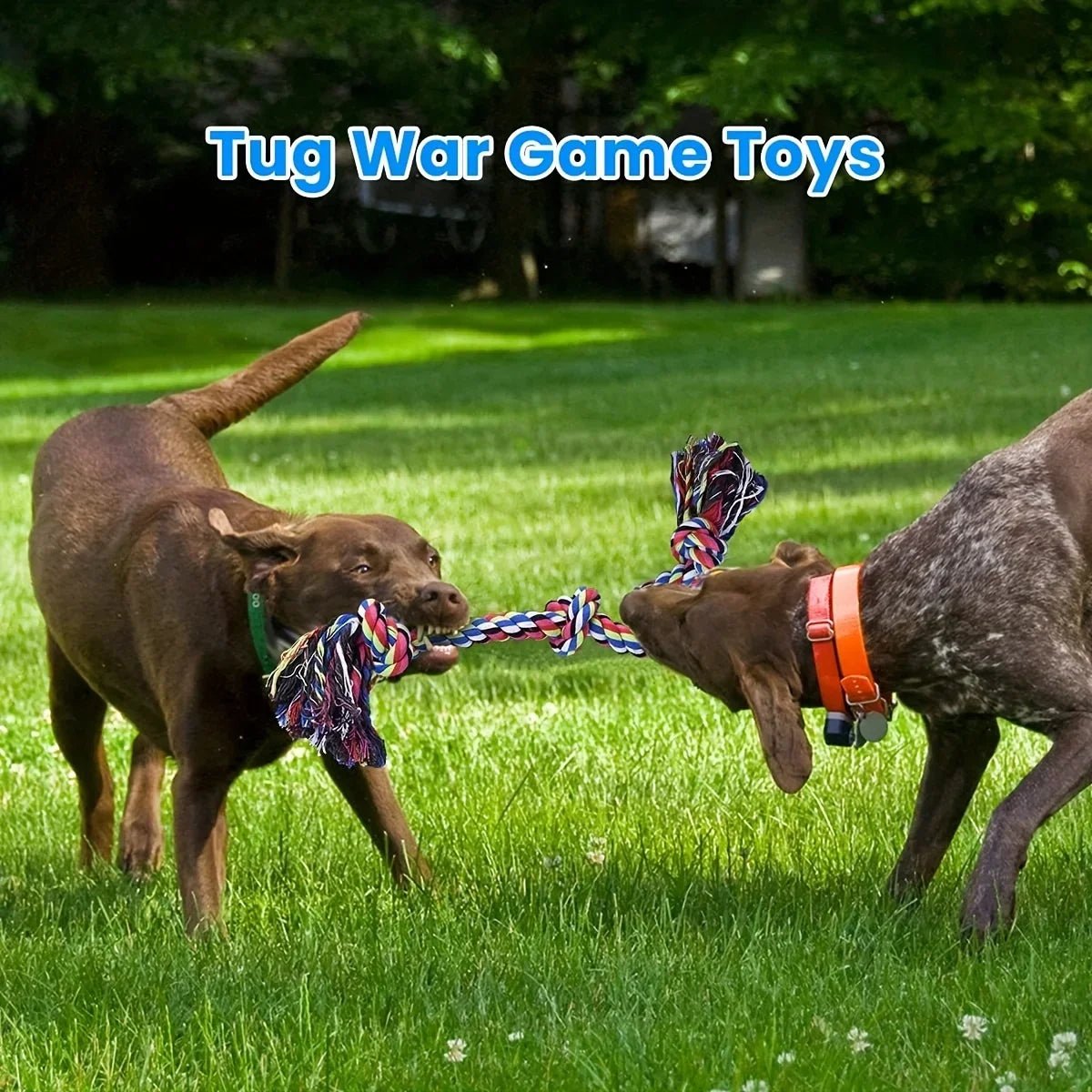 Jouets pour chiens à nœud - Élite Canine Shop Élite Canine Shop