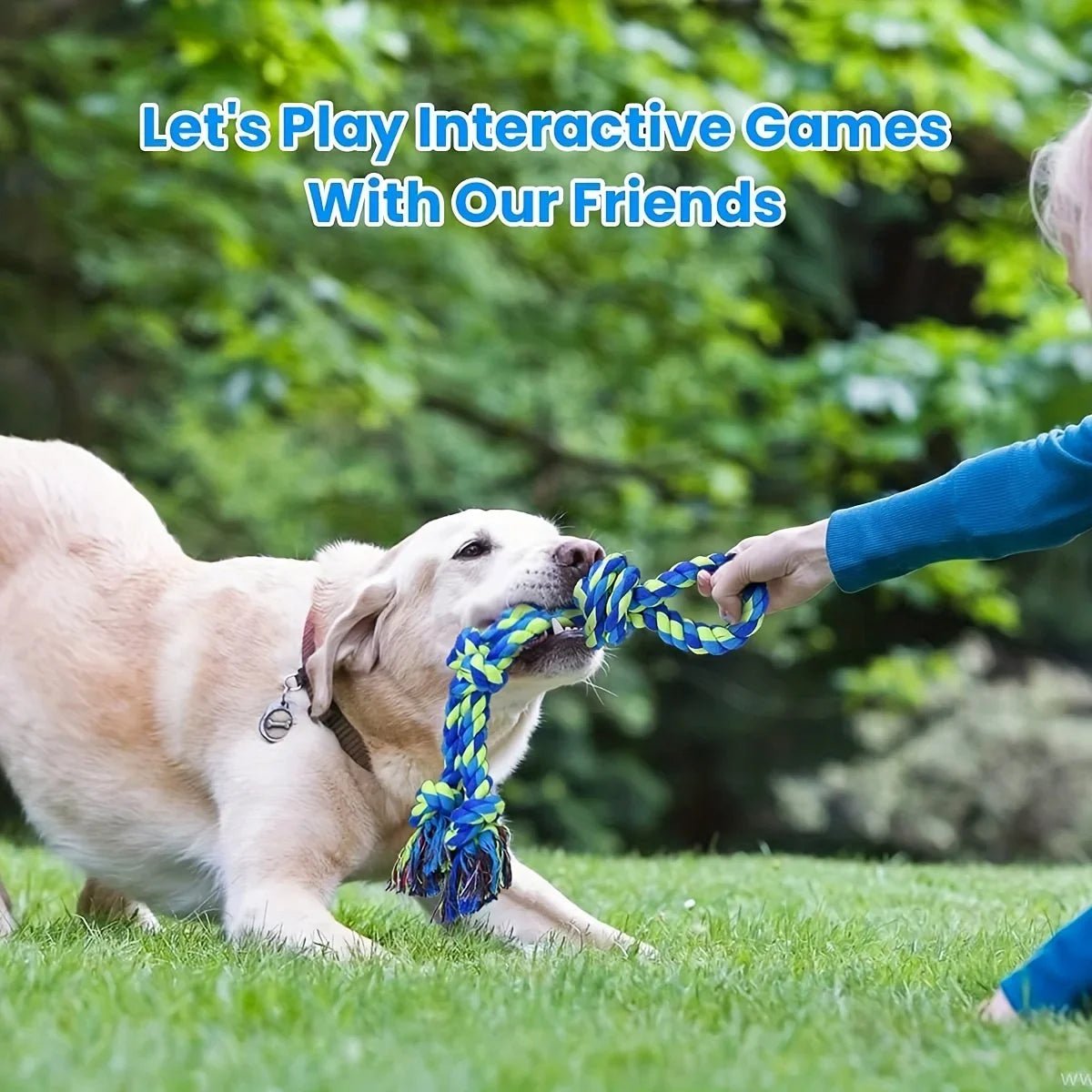 Jouets pour chiens à nœud - Élite Canine Shop Élite Canine Shop