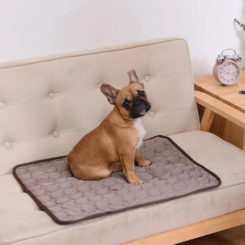 Livraison gratuite Tapis rafraîchissant pour animaux de compagnie, accessoire d'été, pour chiens et chats, canapé, respirant, lavable, pour les petits, moyens et grands chiots et chatons, pour voiture - Élite Canine Shop ChicCanin