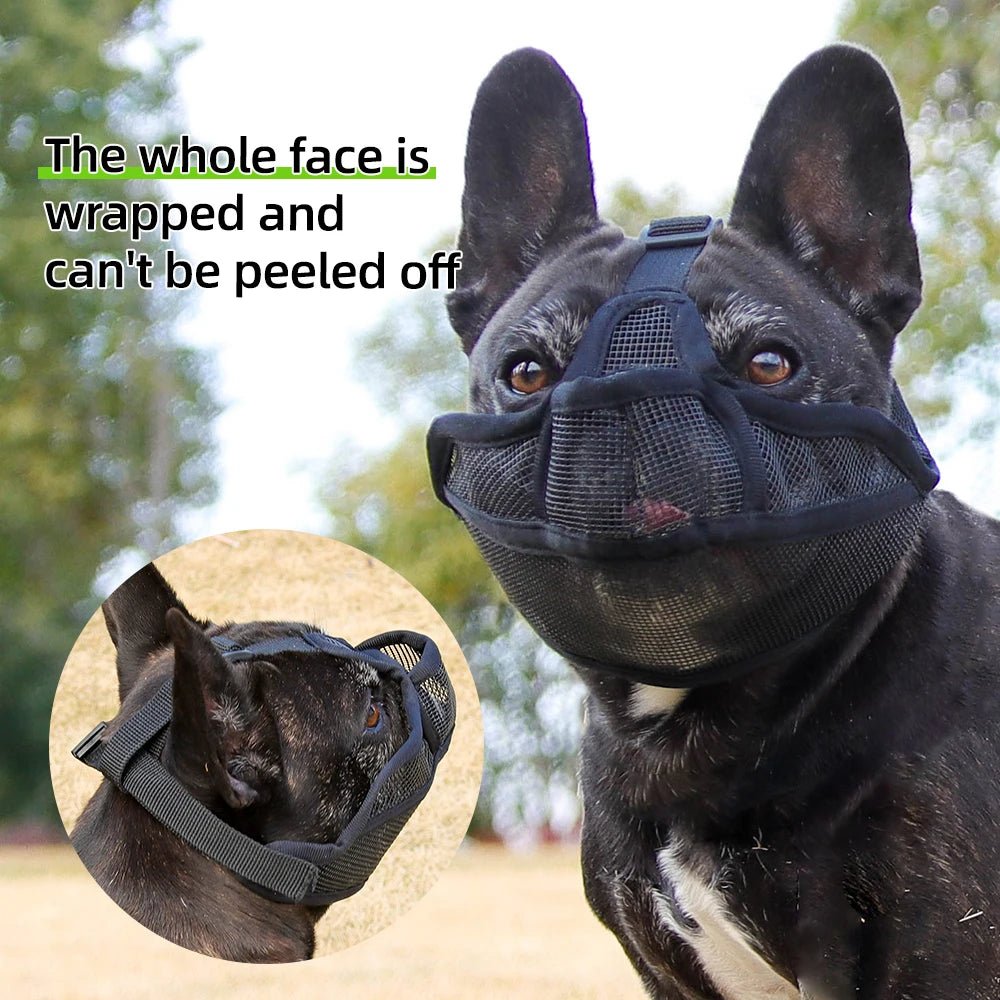 Muselière pour chien pour chiens à museaux courts, prévention des aboiements, bouledogues français, muselière respirante, prévention de l'ingestion accidentale, produits pour animaux de compagnie - Élite Canine Shop ChicCanin