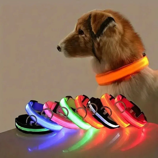Nylon LED nuit sécurité clignotant lueur dans la nuit laisse pour chien chiens lumineux Fluorescent collier pour chien de compagnie - Élite Canine Shop ChicCanin