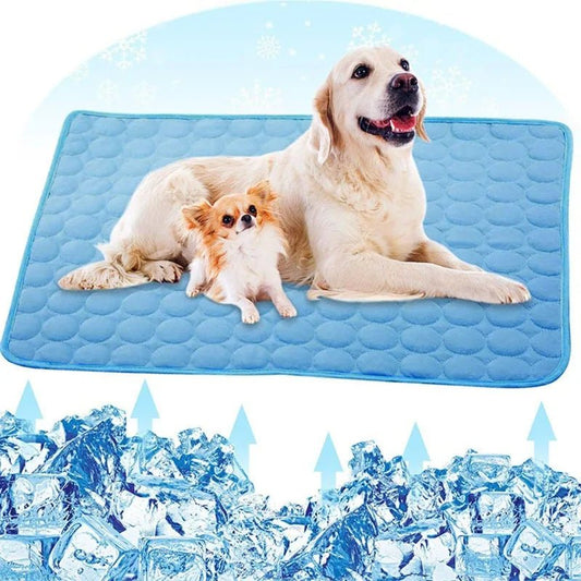 Polymères refroidissants pour animaux de compagnie, lit froid pour animaux de compagnie, extra large pour petits et grands chiens, accessoires pour animaux de compagnie, couverture durable, canapé pour chat, couverture à c - Élite Canine Shop ChicCanin
